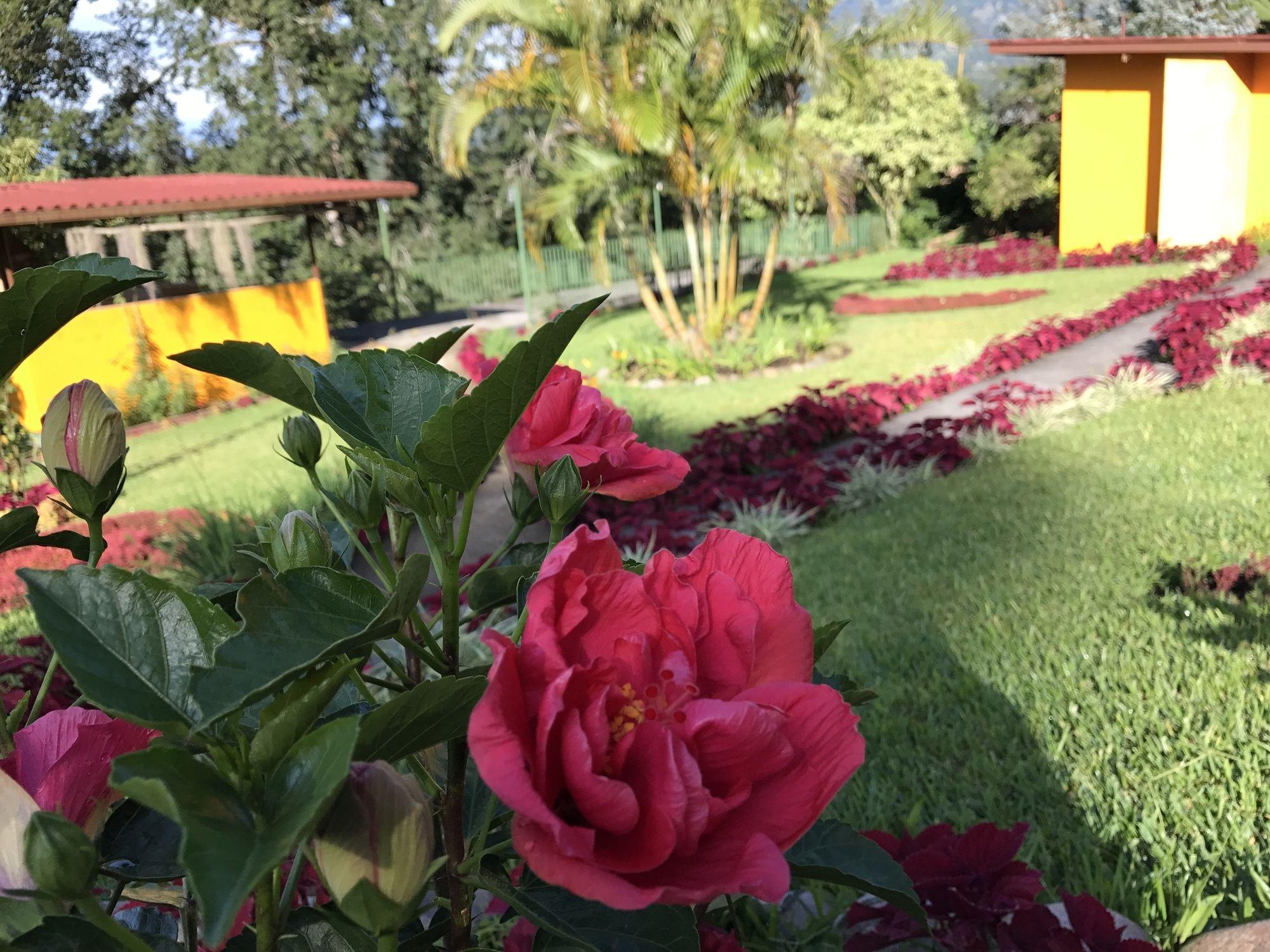 Santuario Lodge Agro-Hotel Boquete Extérieur photo