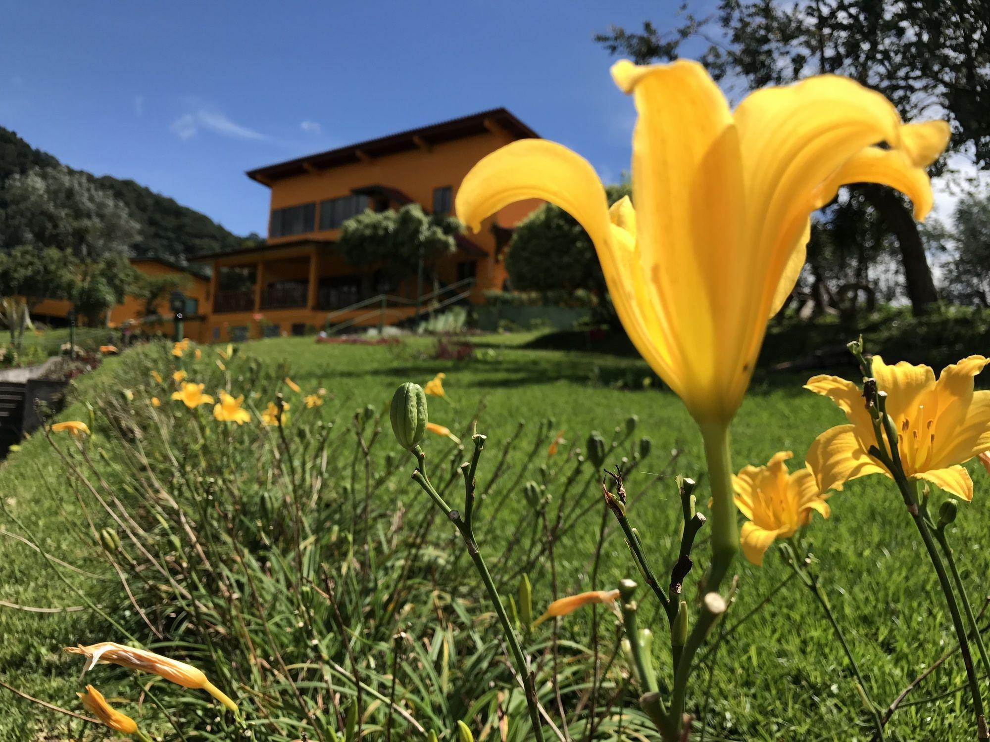 Santuario Lodge Agro-Hotel Boquete Extérieur photo