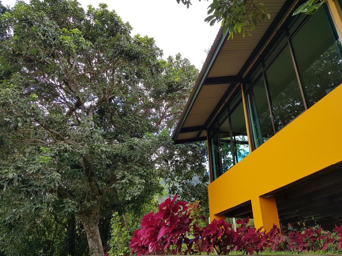 Santuario Lodge Agro-Hotel Boquete Extérieur photo